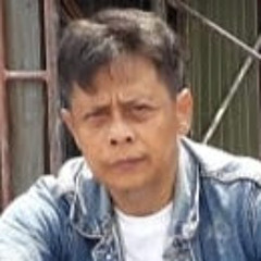 felix hardjo