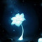 Echosoftheflower