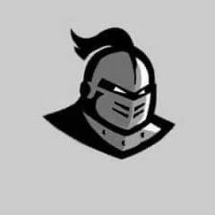 the metalic knigt