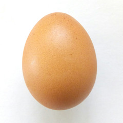 time for egg