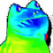 Carlitoz