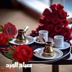 Mostafa Abdo