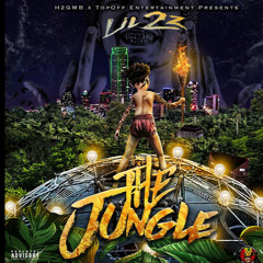 YBH Monkey WITTA Draco🐒🔫