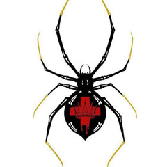 Widow Records