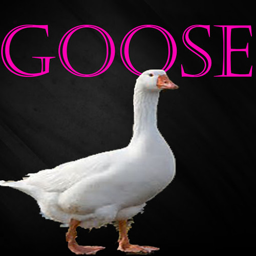 gooseman420’s avatar