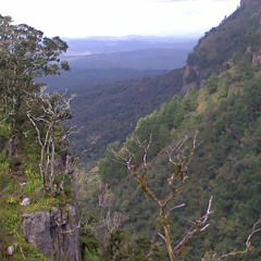 Tristan Labuschagne