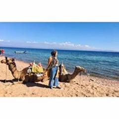 Toka Elboraay