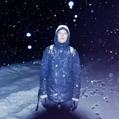 Aleksandr Gorodnitskii