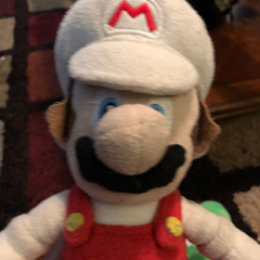Supermario Logan 2