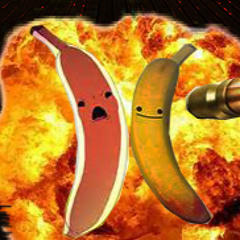 Nill_Sayfer