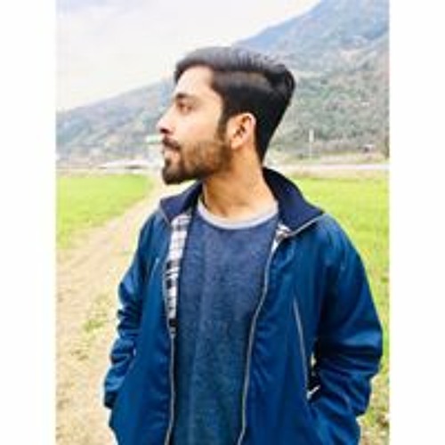 Syed Qamar Abbas Naqvi👑’s avatar