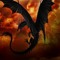 Seahawk the Animus