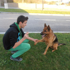 Jowiis