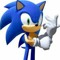 Indestructible Hedgehog