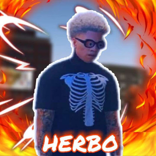 Herbb3x’s avatar