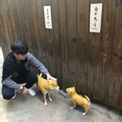 윤섭