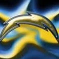 Student Conor Crawford