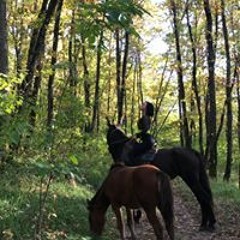 Акимцева Ангелина