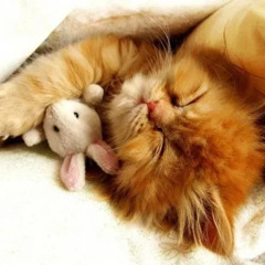 Мари Ковшова