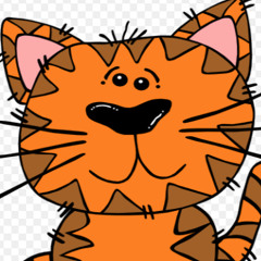 orange cat