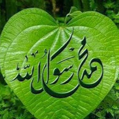 Asmaa E.