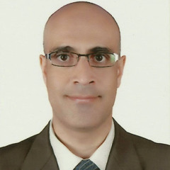 Tarek Mohamed