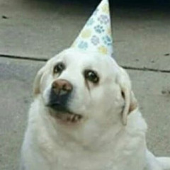 Petz