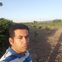 Meisam Savadkoohi