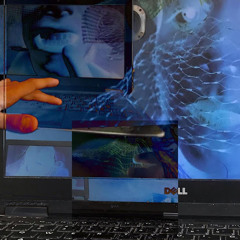 delfines trolls