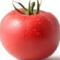 TOMATO Mr.