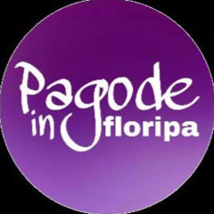 PAGODE 2020 SÓ OS TOP
