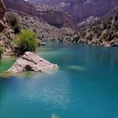 jawad