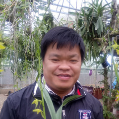 David H