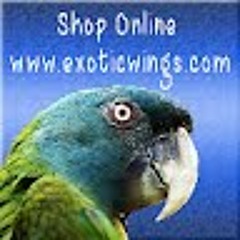 Exotic Wings & Pet Things