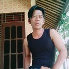Holigan