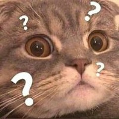 CatVu