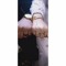 Nour Hassan