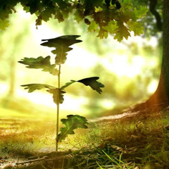 younes_elyaakoubi@hotmail