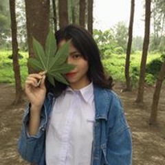 Chaunguyen