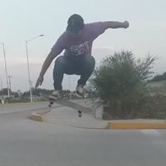 lino
