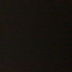 коленка парадеича