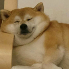 Pou