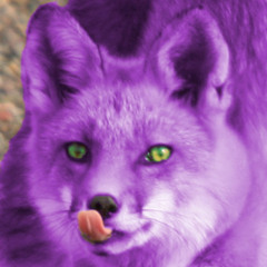 Cynical Vixen