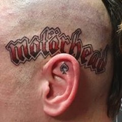 Vincent Van Looveren