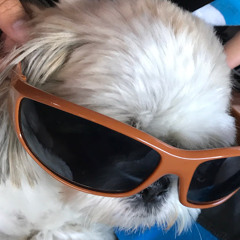 Jubby