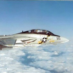F-14 Tomcat Tobar