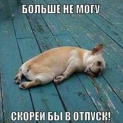Valera Valkov