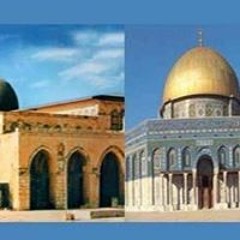 Mohamed Abou Elkhier