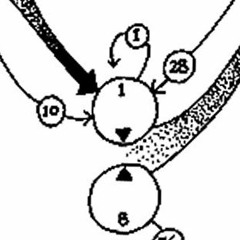 RT combined digital audio sigil BOBOBJA