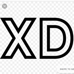 XP XD